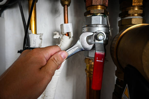 Best Same-Day Plumbing Service  in Brentwood, CA